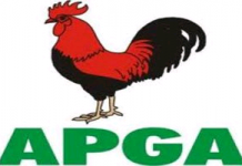 APGA AND IGBO MANIFEST DESTINY By Ibe Gerald Oluchi